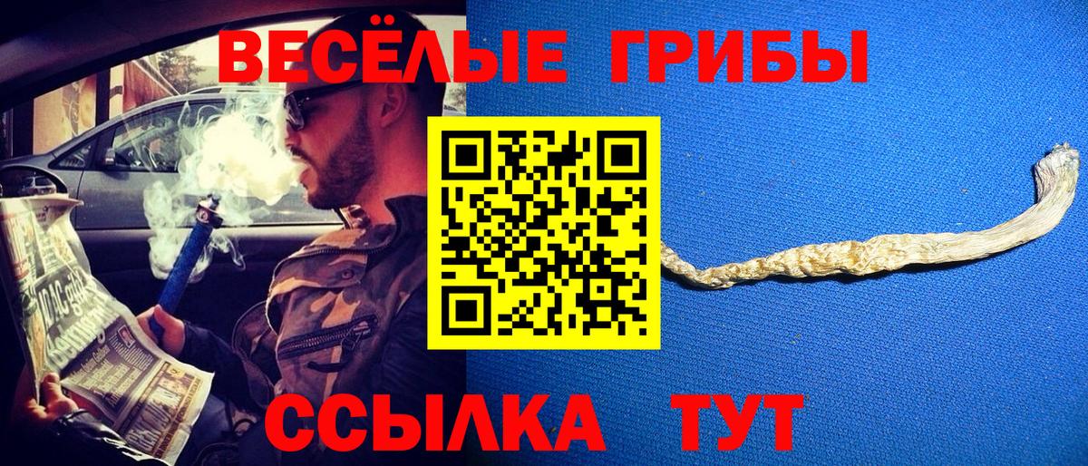 МЕФ Барабинск