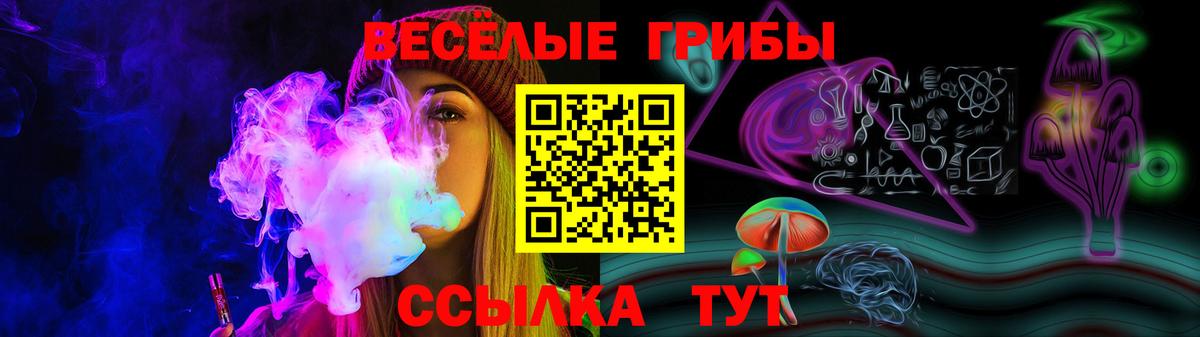 Псилоцибиновые грибы Psilocybine cubensis  Вход с VPN  Барабинск  Псилоцибиновые грибы прущие грибы 